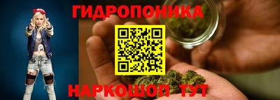 jwh Аргун