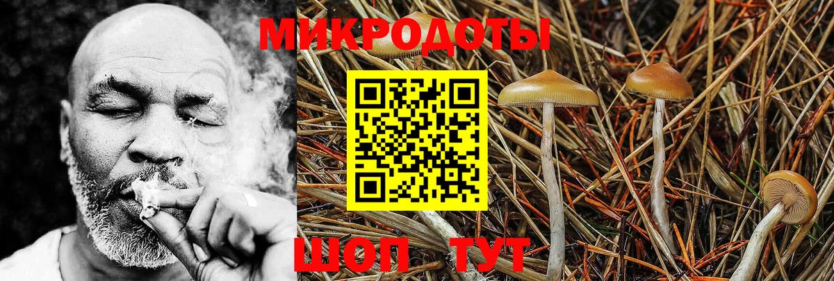 Псилоцибиновые грибы мицелий Балашиха