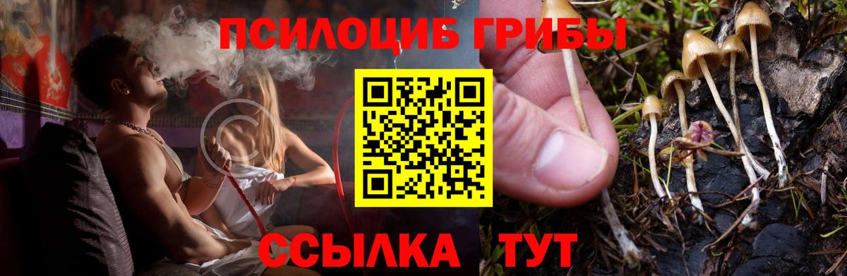 Галлюциногенные грибы Magic Shrooms  Галлюциногенные грибы мухоморы  Вход с VPN  закладка  Балашиха 
